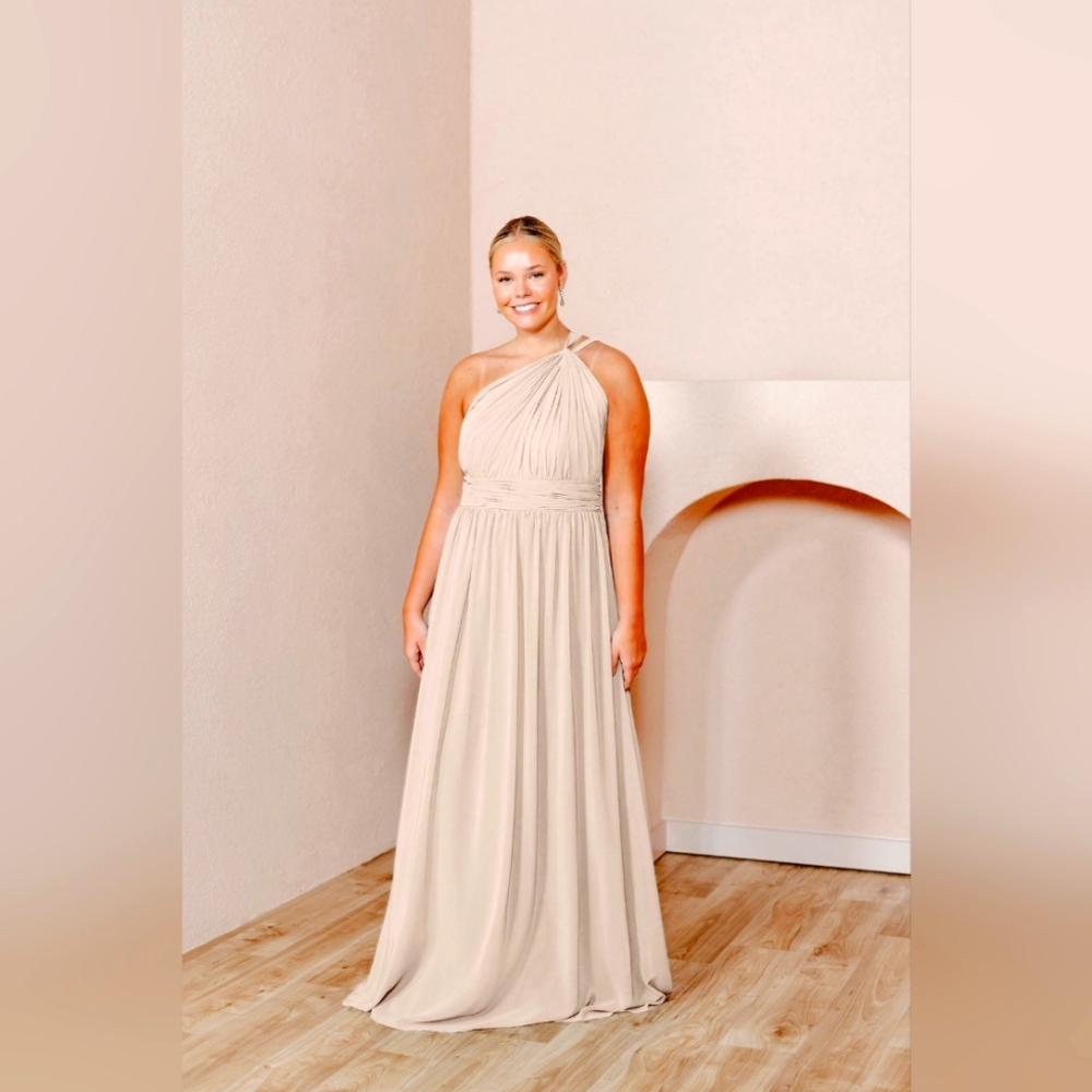 Revelry Brooklyn Chiffon Dress in Champagne - 916